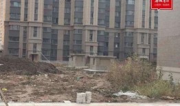 恒大交房最新爆料,揭秘品质与进度背后的真相